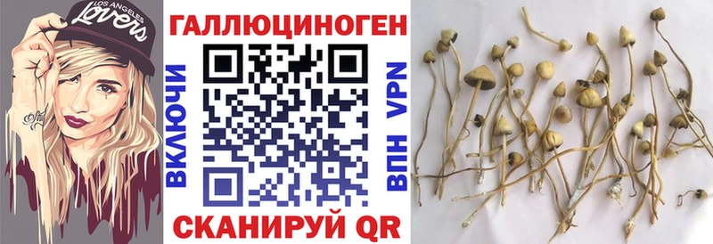 Купить где  Козьмодемьянск  Псилоцибиновые грибы мухоморы 